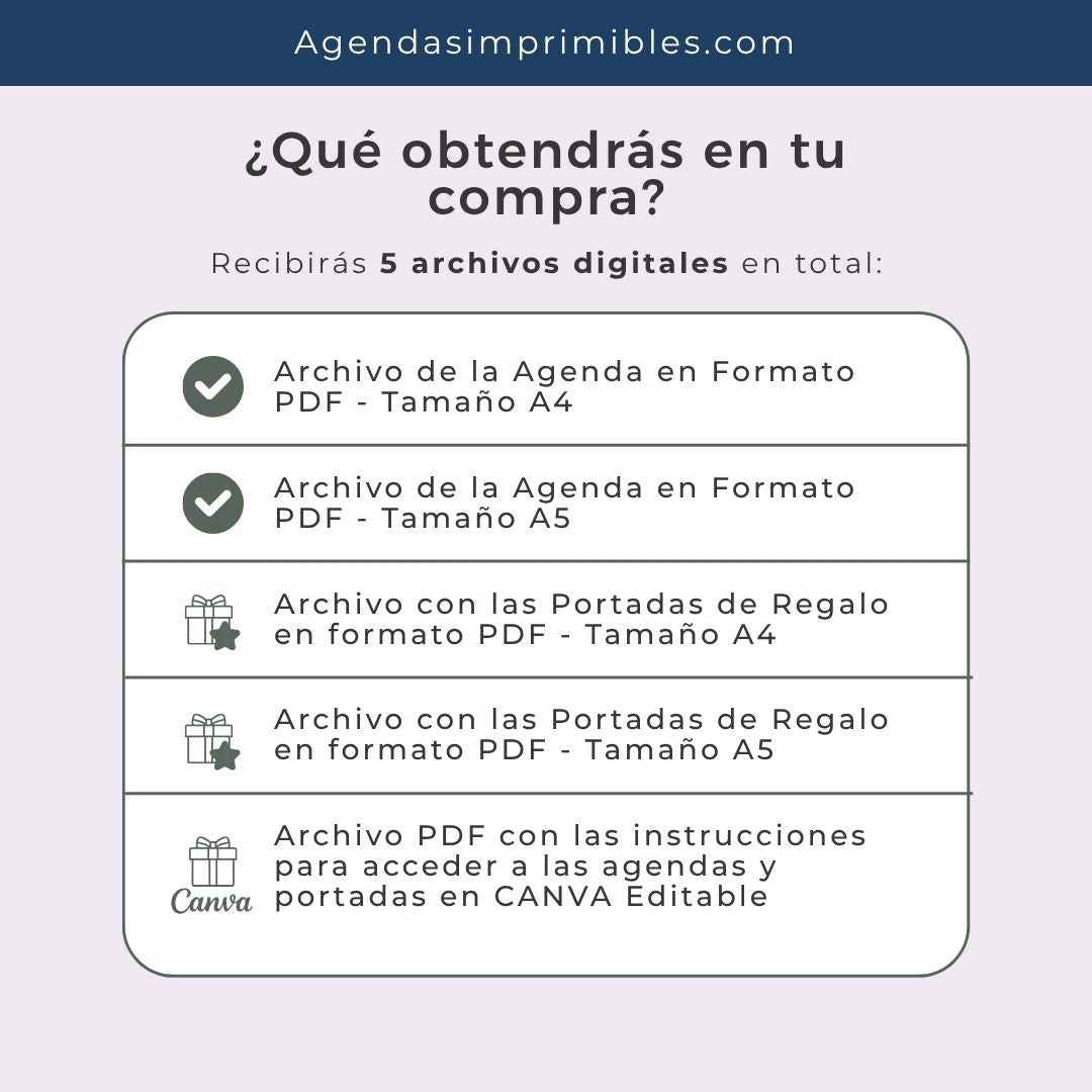 Agenda Estilista Diaria | 2025