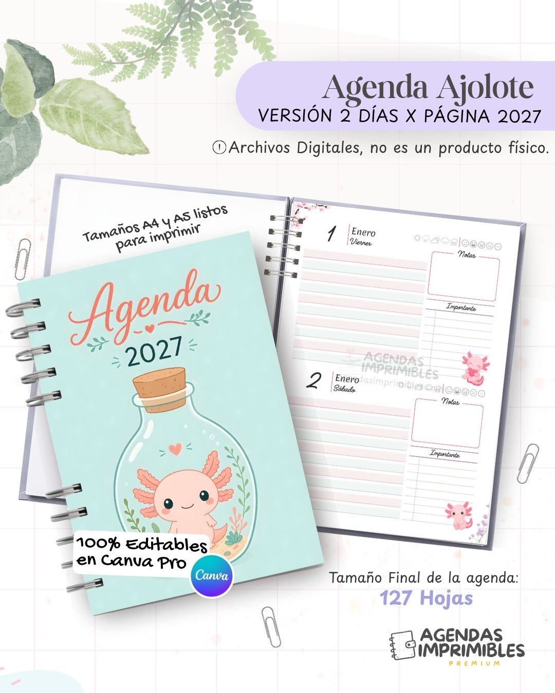 Agenda Ajolote 2027 - 2 Días - imagen 1