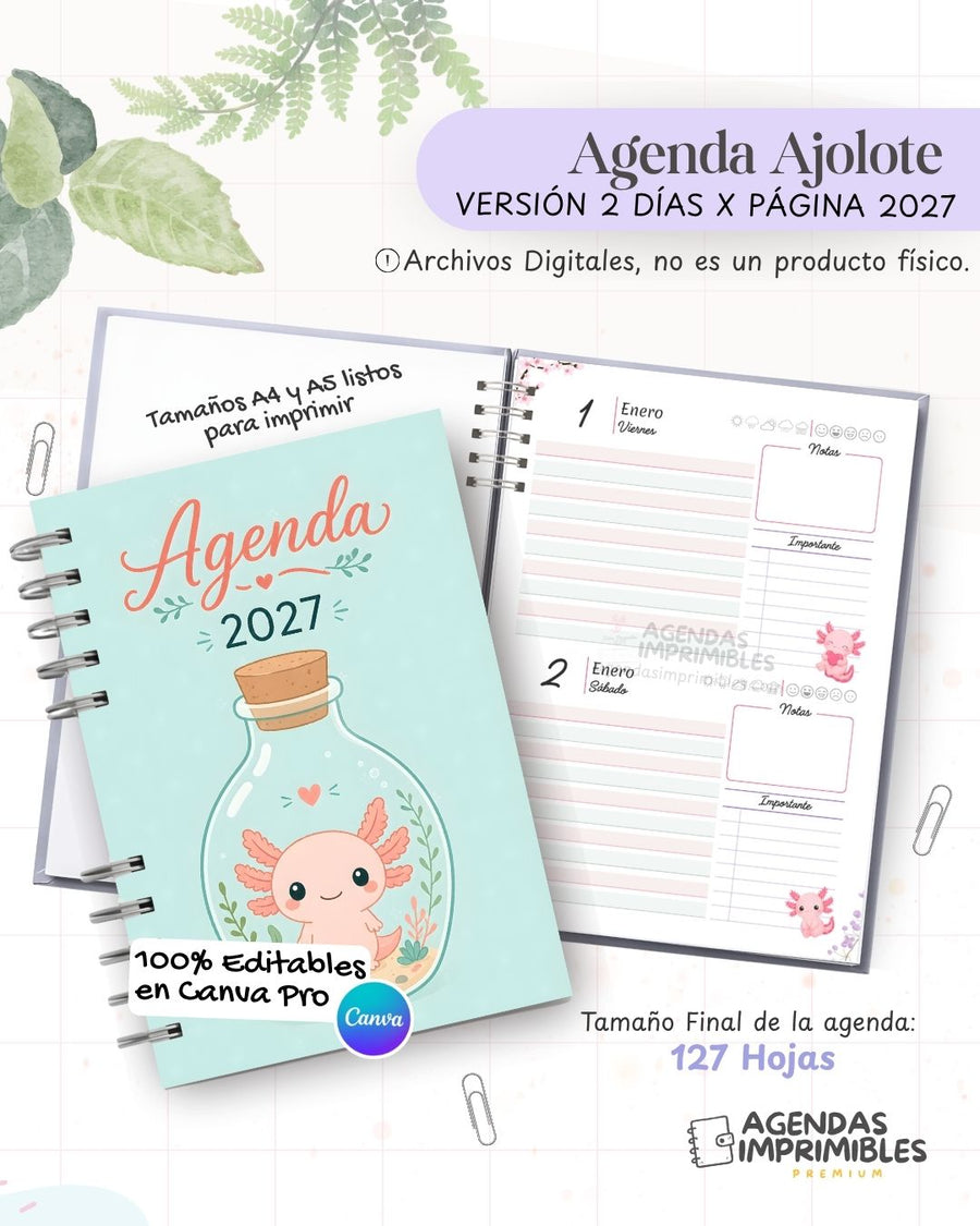 Agenda Ajolote 2027 - 2 Días
