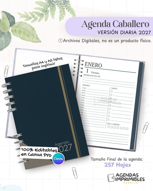 Agenda Caballero 2027 - Diario