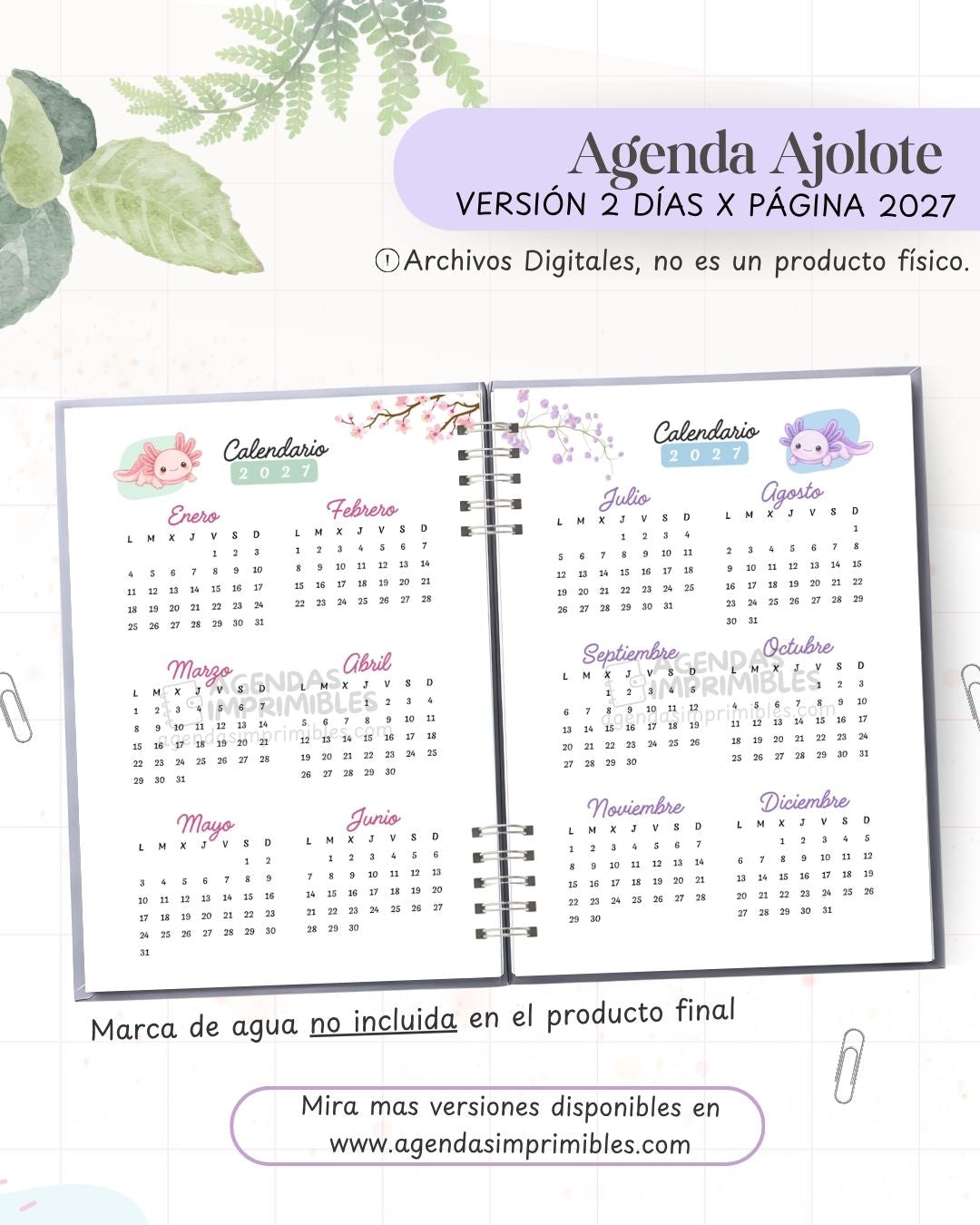 Agenda Ajolote 2027 - 2 Días - imagen 2