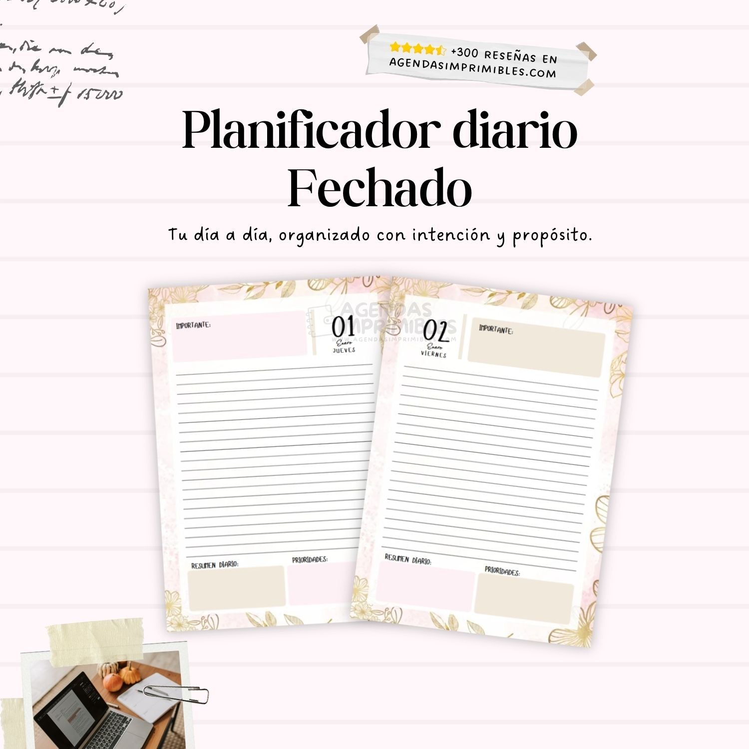 Agenda Mariposas Diaria | 2026