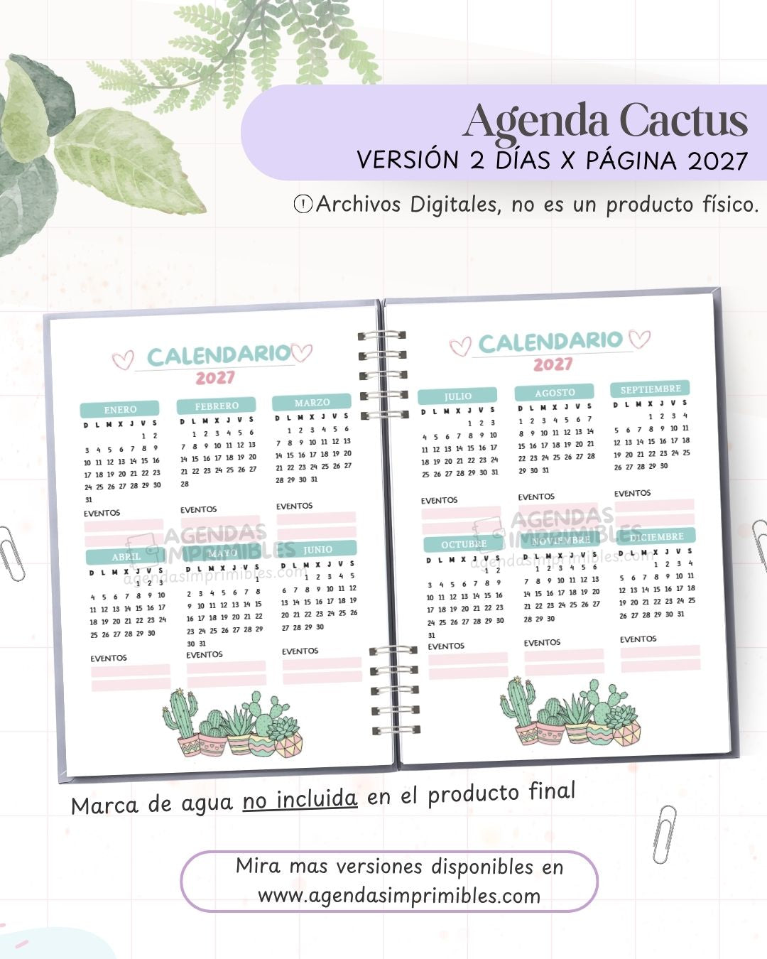 Agenda Cactus 2027 - 2 Días - imagen 2