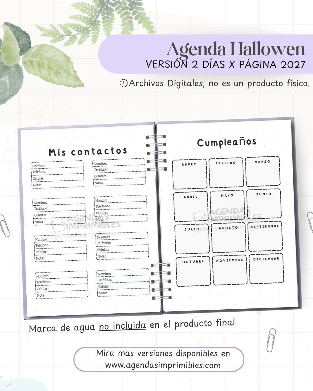 Agenda Halloween 2027 - 2 Días - imagen 2