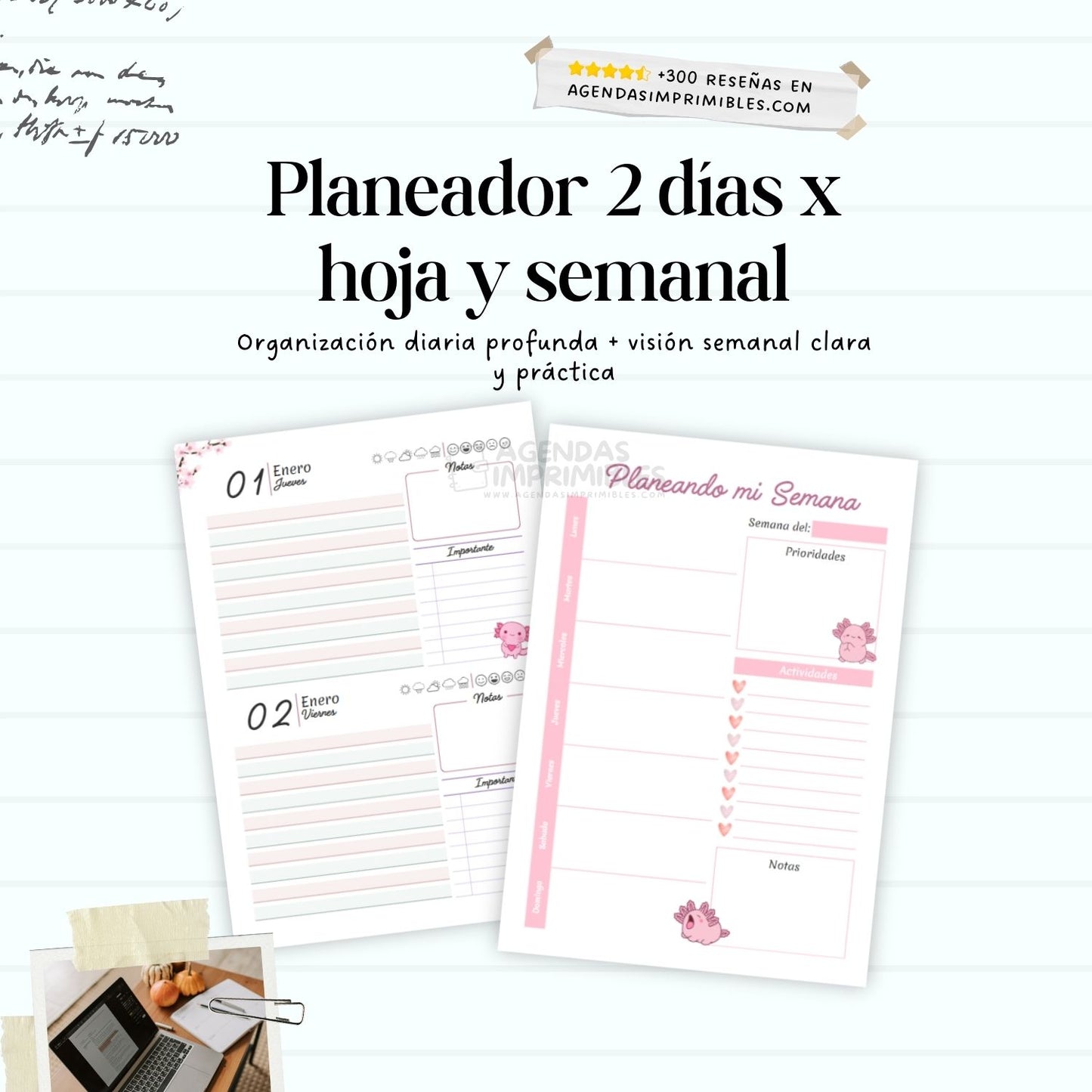 Agenda Ajolote Dos Días x Pagina | 2026