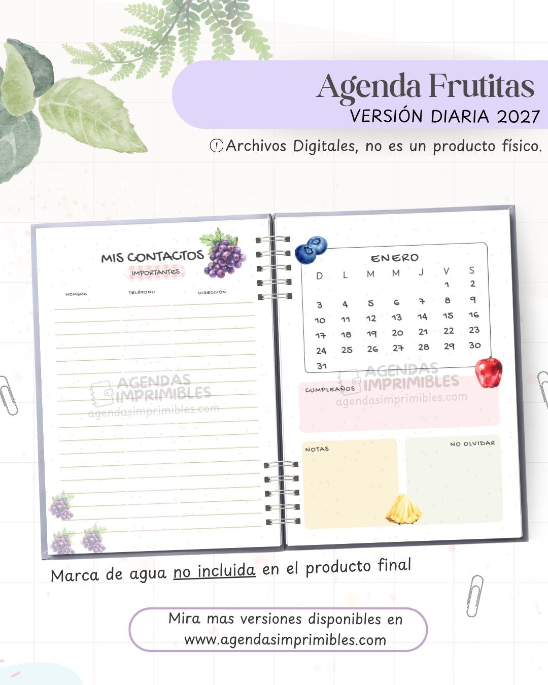 Agenda Frutitas 2027 - Diario - imagen 2