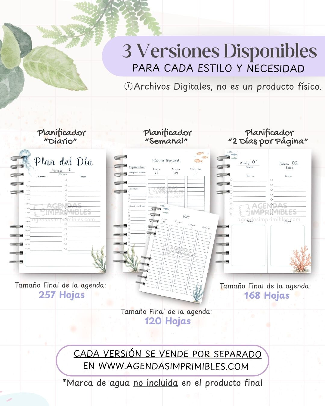 Agenda Mar y OcÃ©ano 2027 - Archivo Imprimible - imagen 2