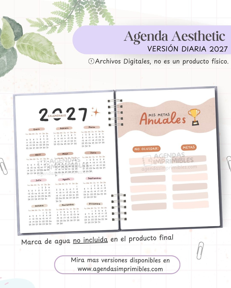 Agenda Aesthetic 2027 - Diario