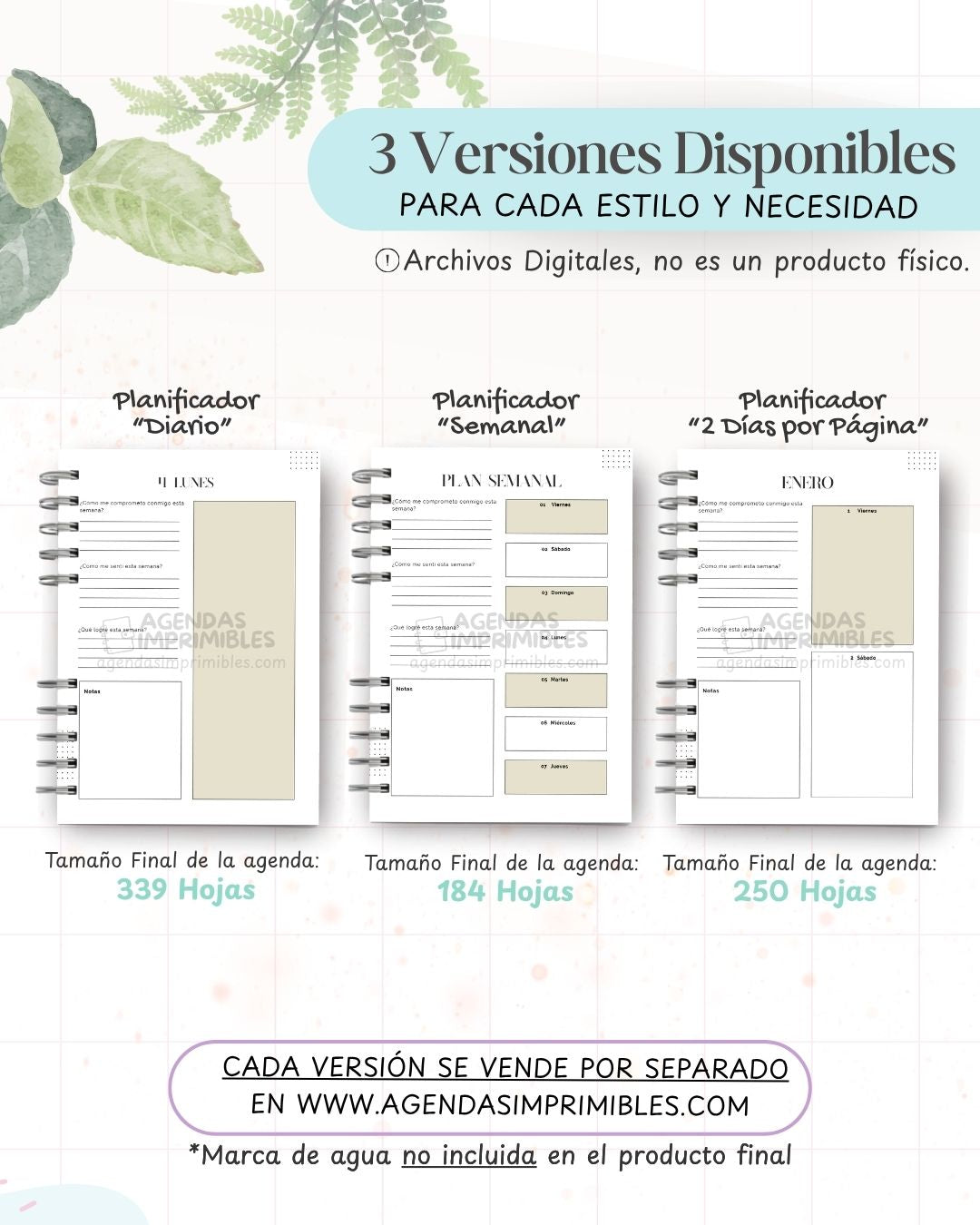 Agenda Hábitos Saludables 2027 - Archivo Imprimible - imagen 2
