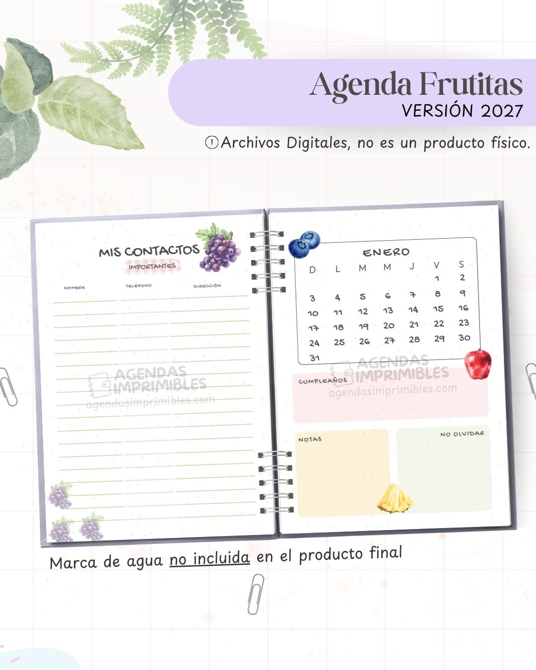 Agenda Frutitas 2027 - Archivo Imprimible - imagen 3