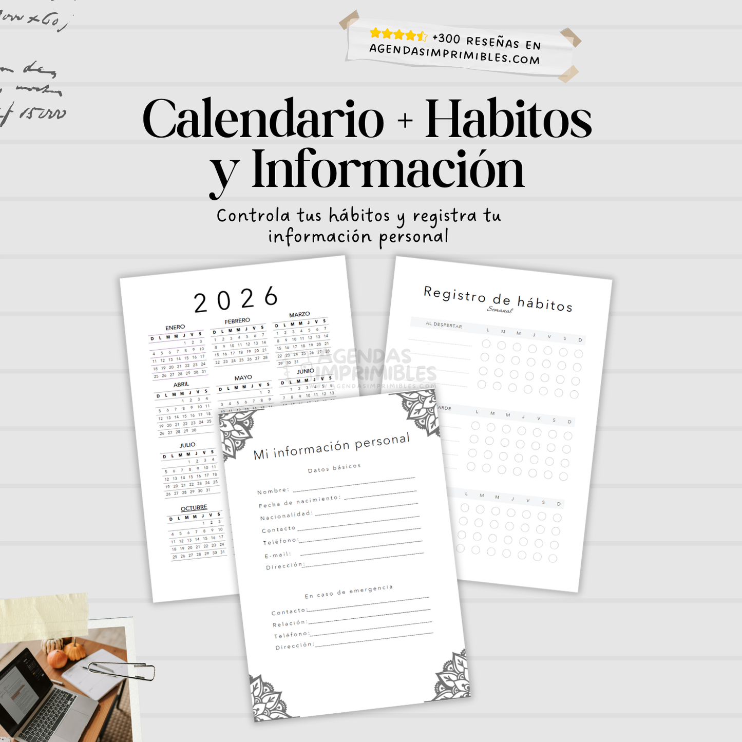 Agenda Mandala Semanal | 2026