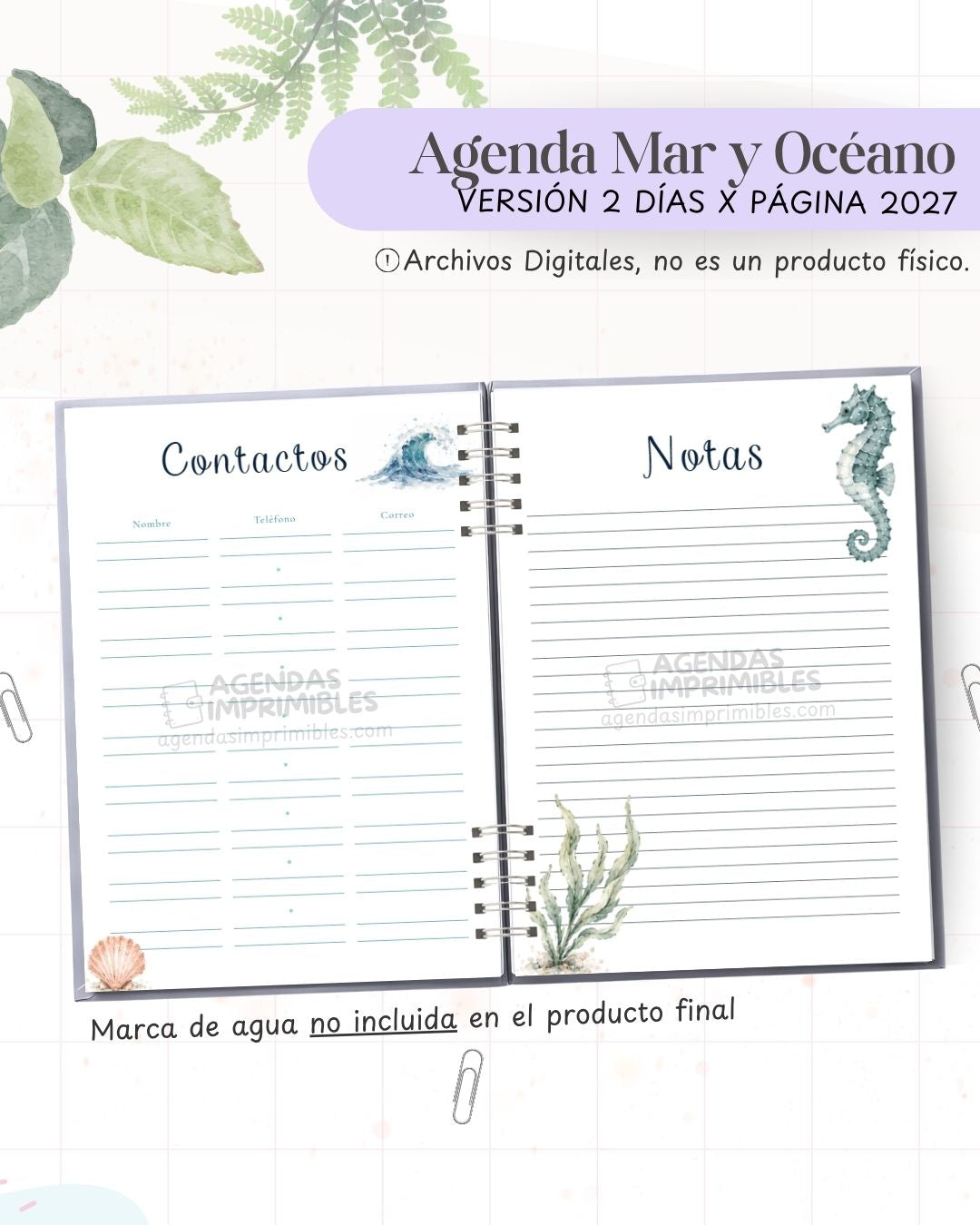 Agenda Mar y Océano 2027 - 2 Días - imagen 3