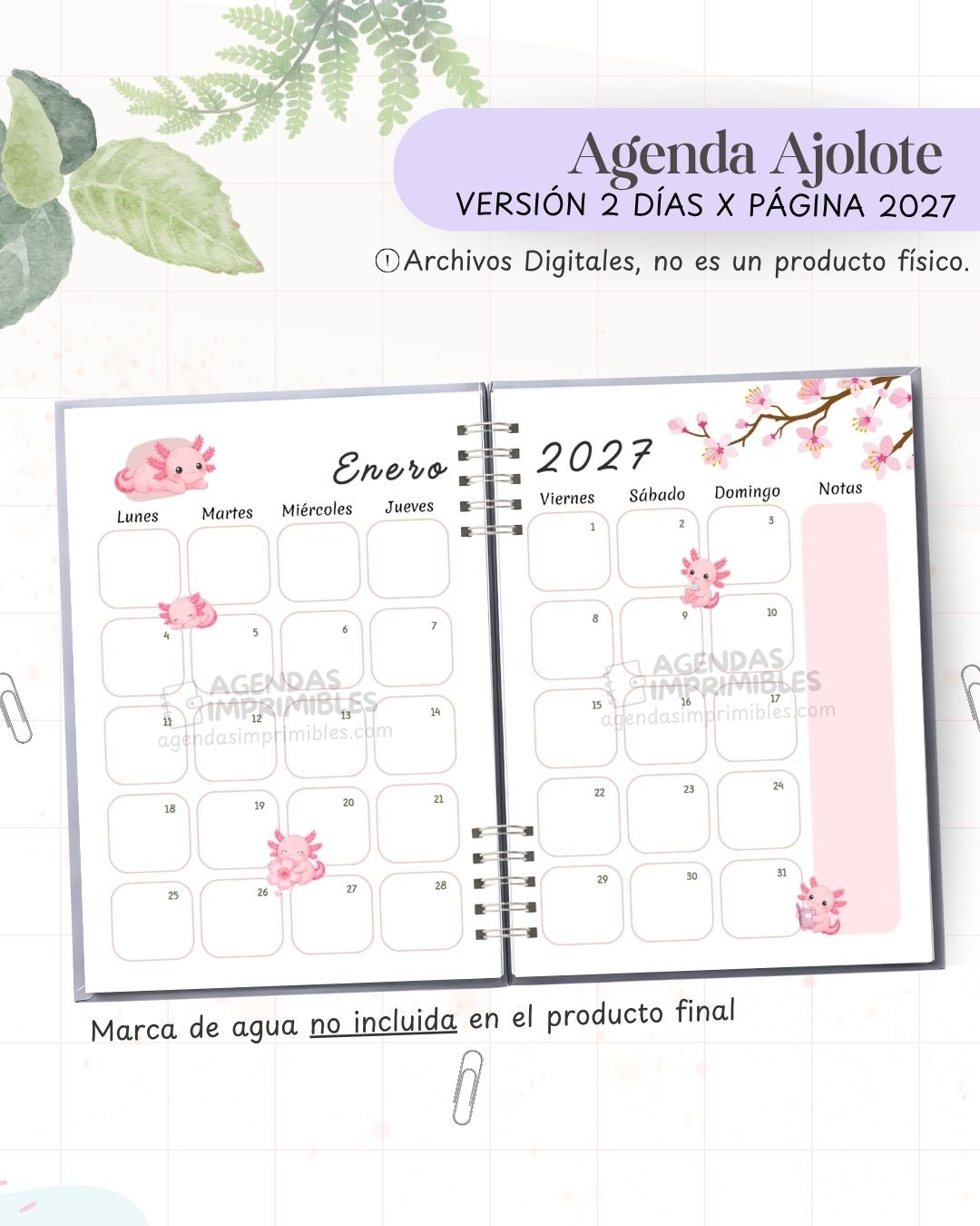 Agenda Ajolote 2027 - 2 Días - imagen 3