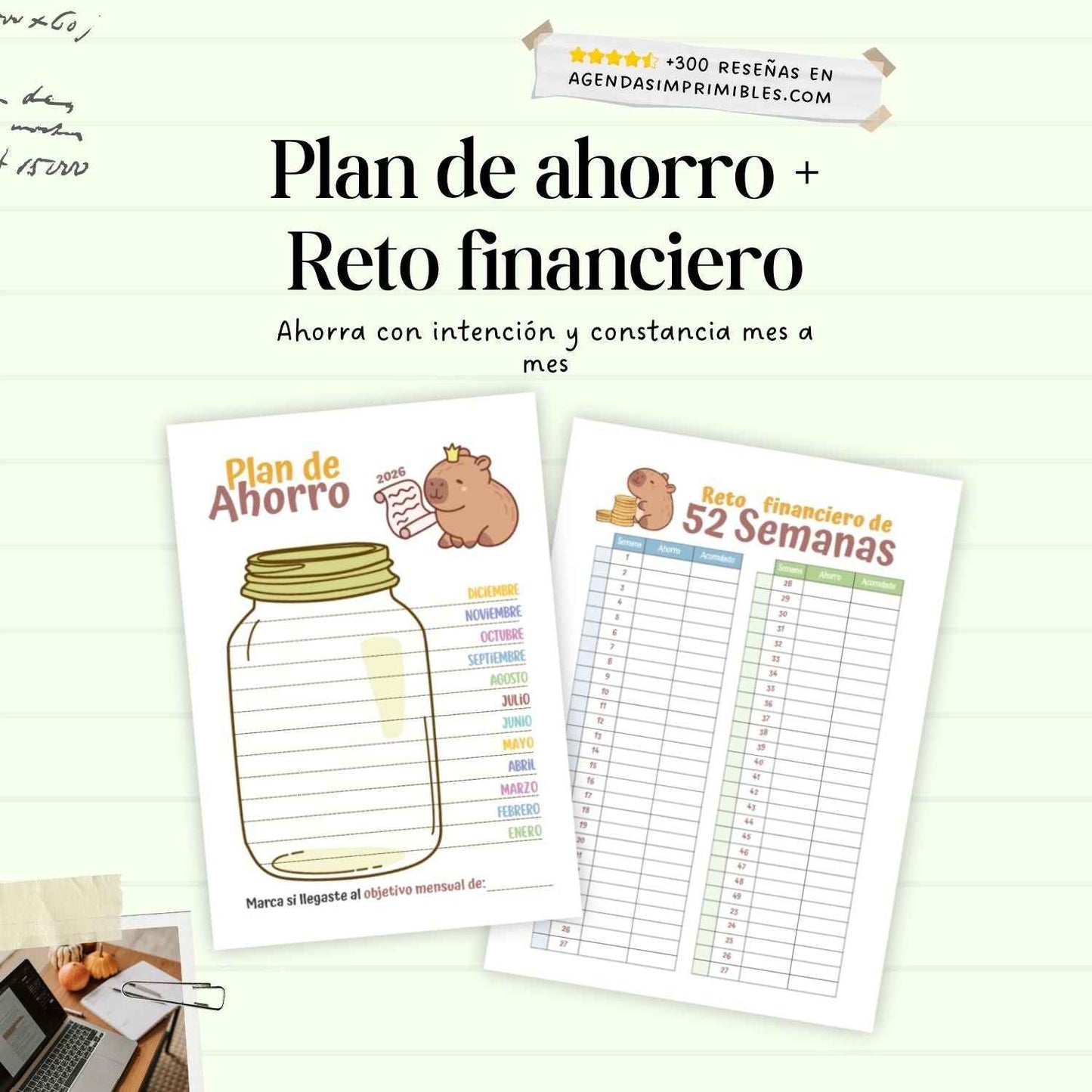 Agenda Capibara 2 Días por hoja| 2026