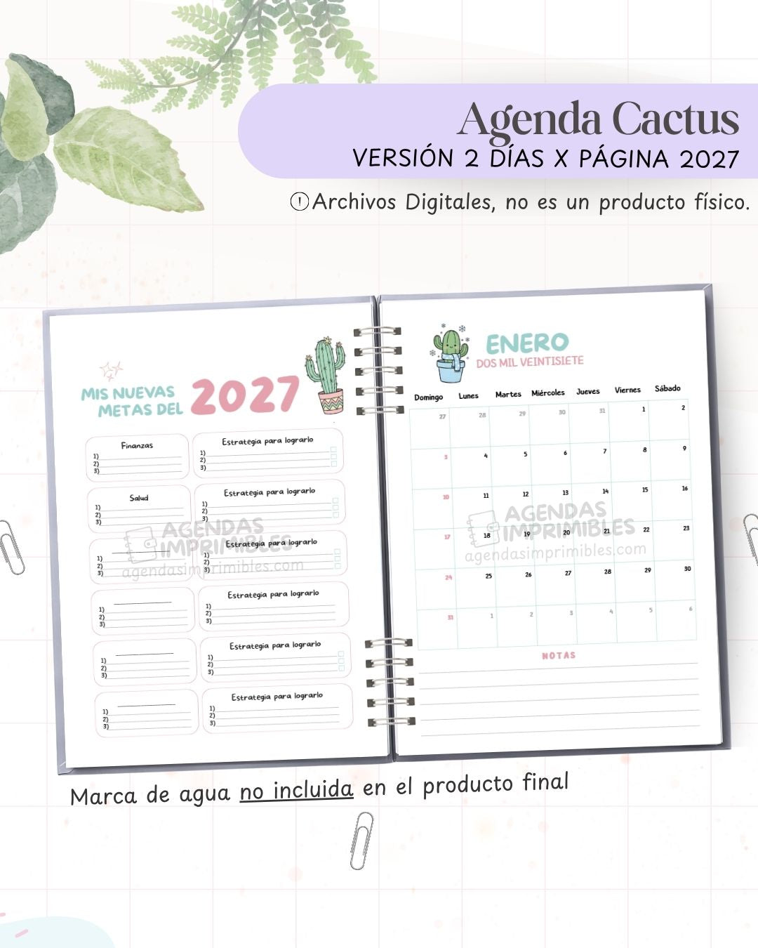 Agenda Cactus 2027 - 2 Días - imagen 3