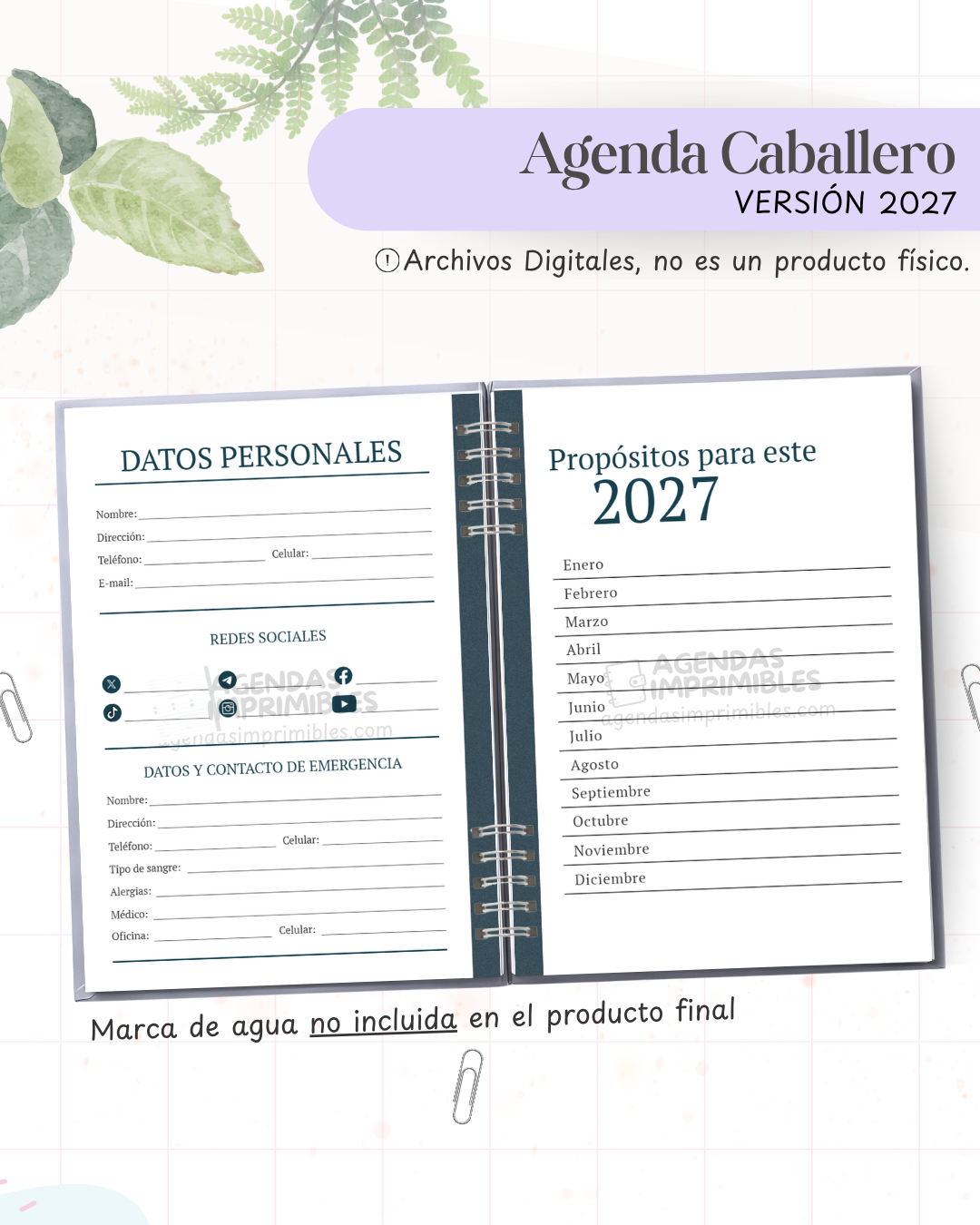 Agenda Caballero 2027 - Archivo Imprimible - imagen 3
