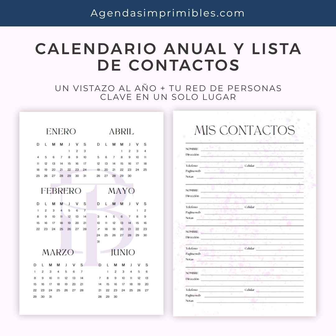 Agenda BTS Sencilla Diaria | 2026