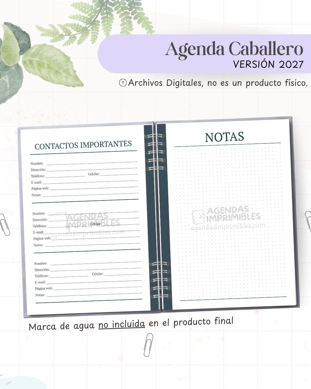 Agenda Caballero 2027 - Diario - imagen 4