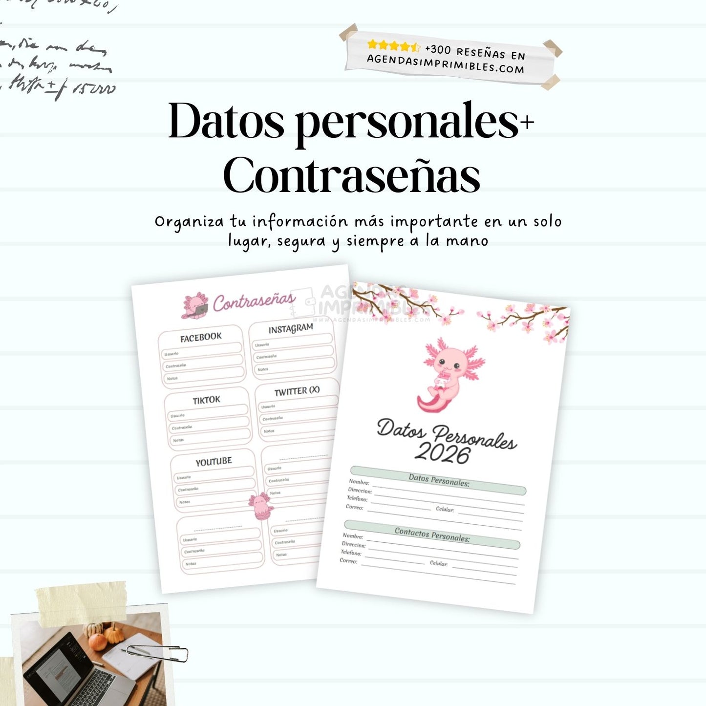 Agenda Ajolote Dos Días x Pagina | 2026