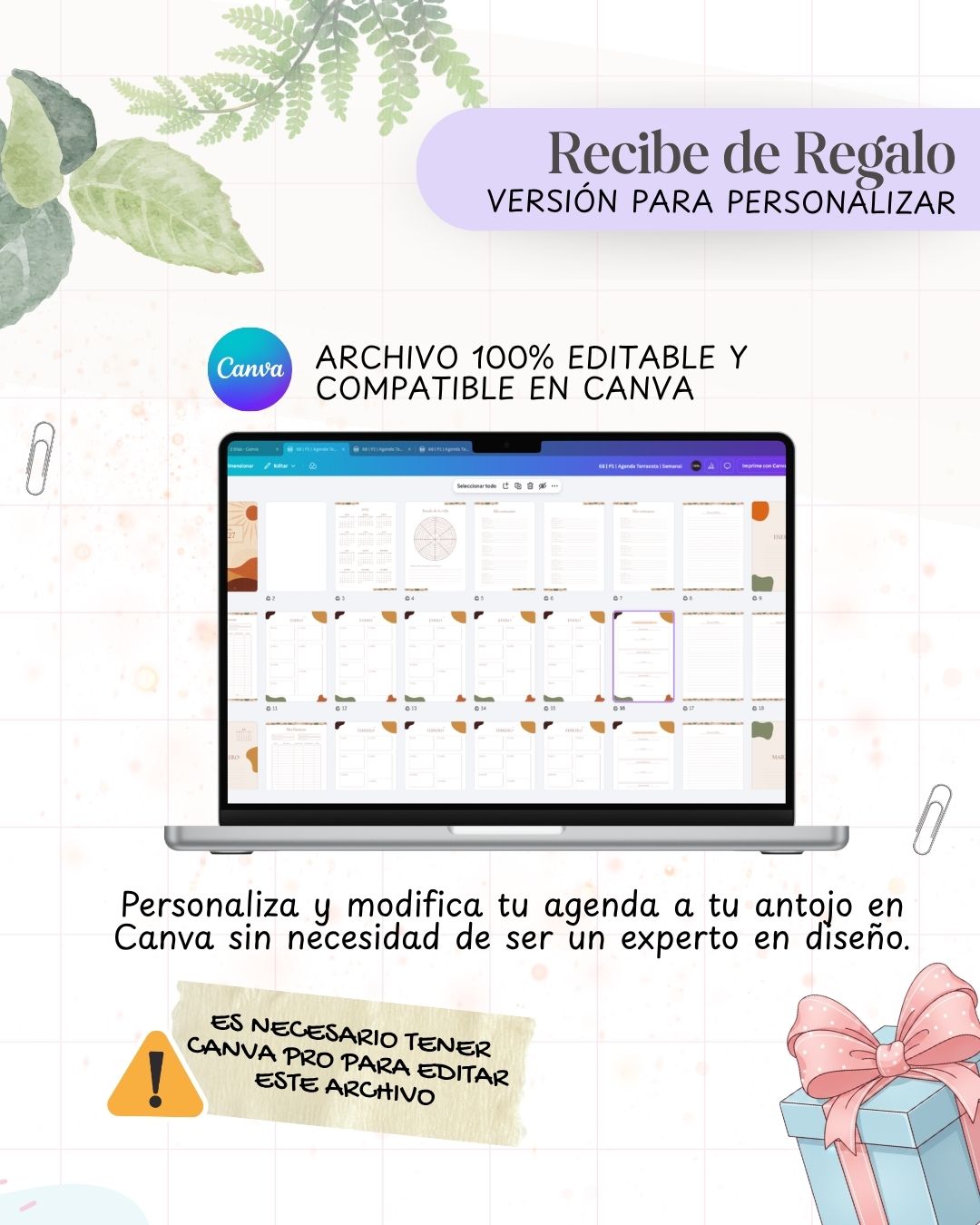 Agenda Terracota 2027 - 2 Días - imagen 4