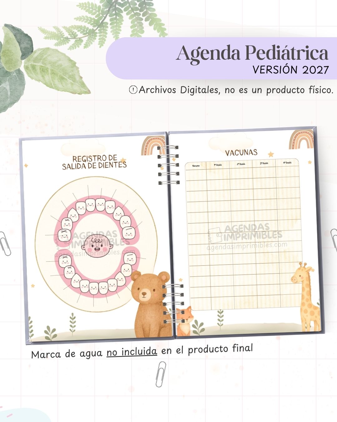 Agenda Pediátrica 2027 - Archivo Imprimible - imagen 4