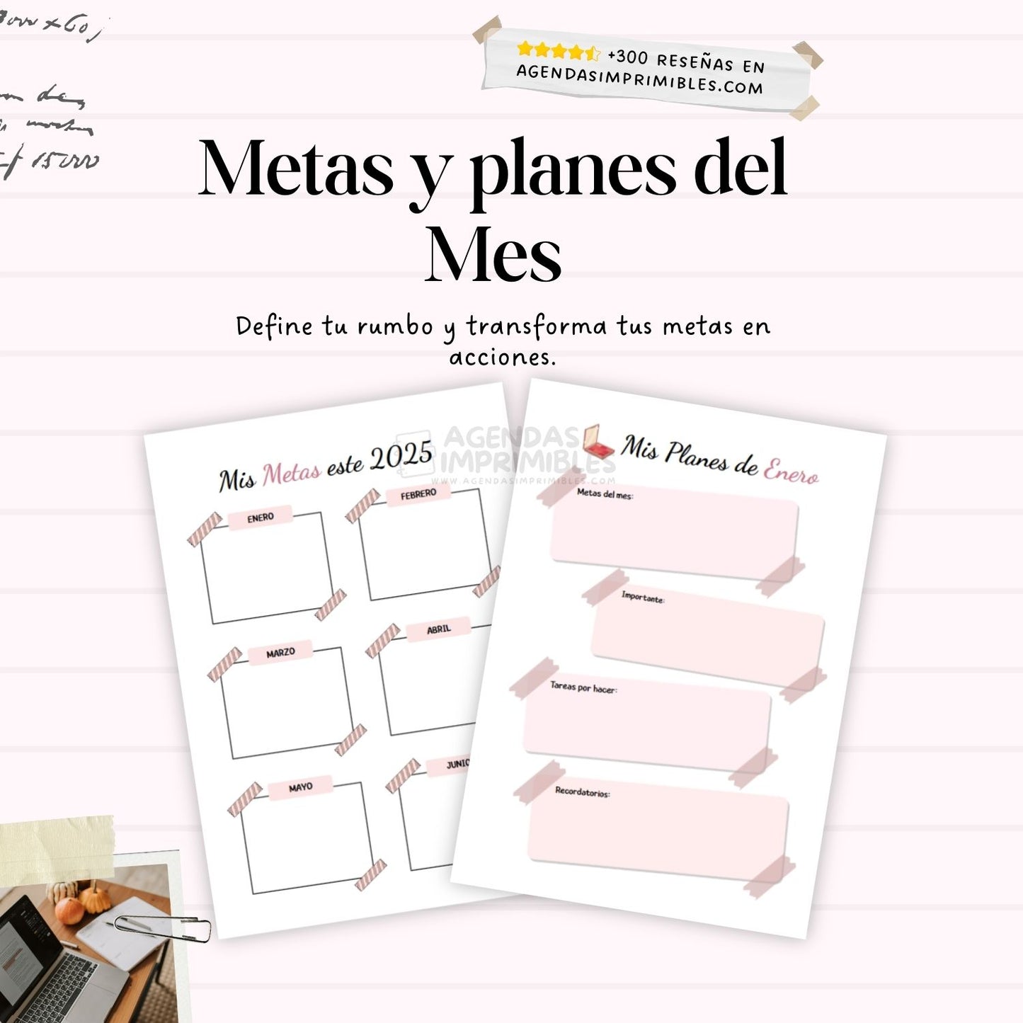 Agenda Estilista Diaria | 2026