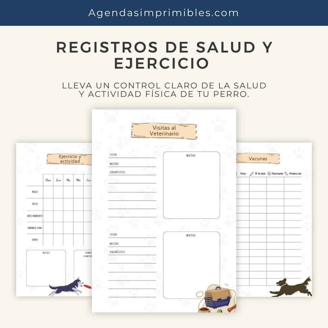 Agenda Flores Diaria | 2026