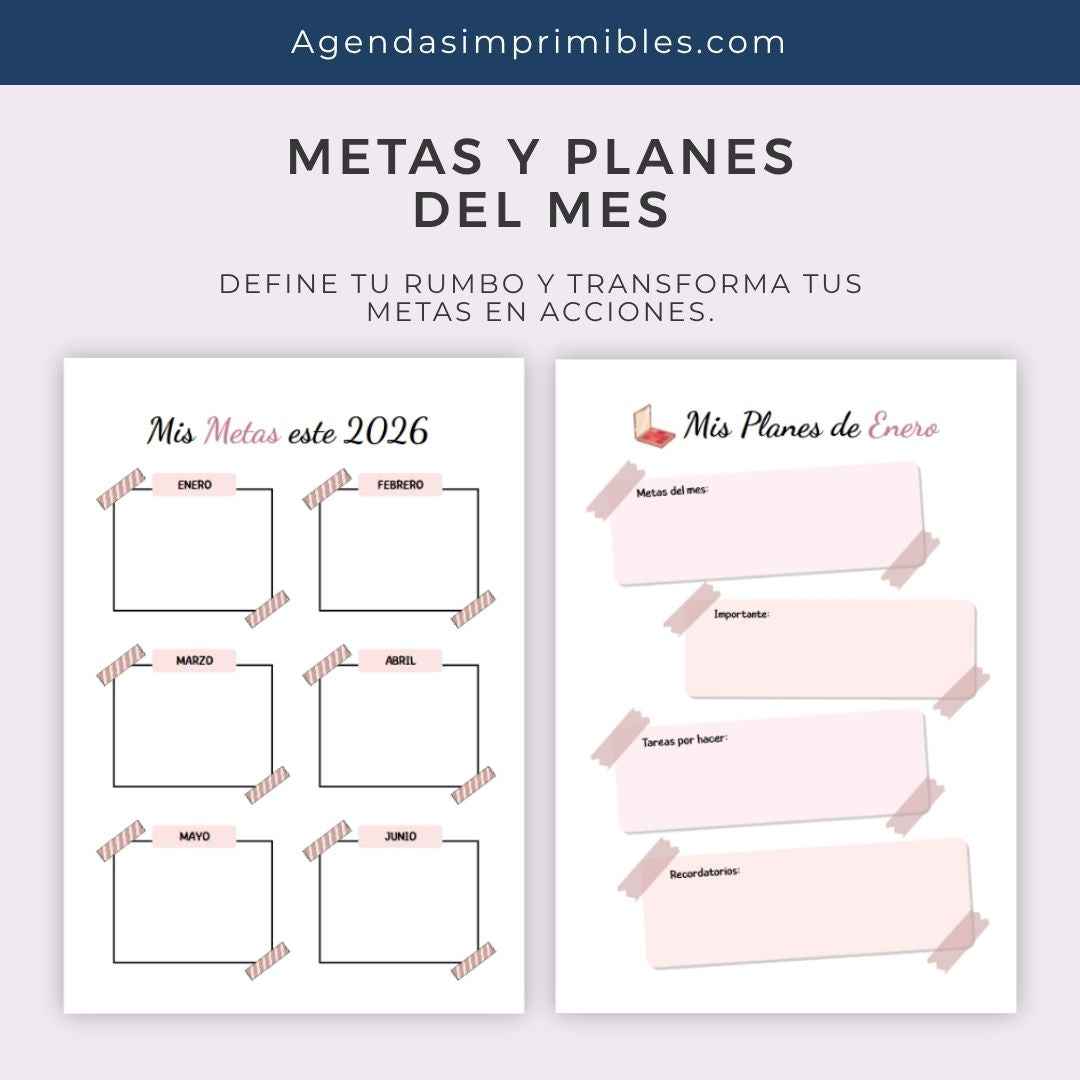 Agenda Estilista Diaria | 2025