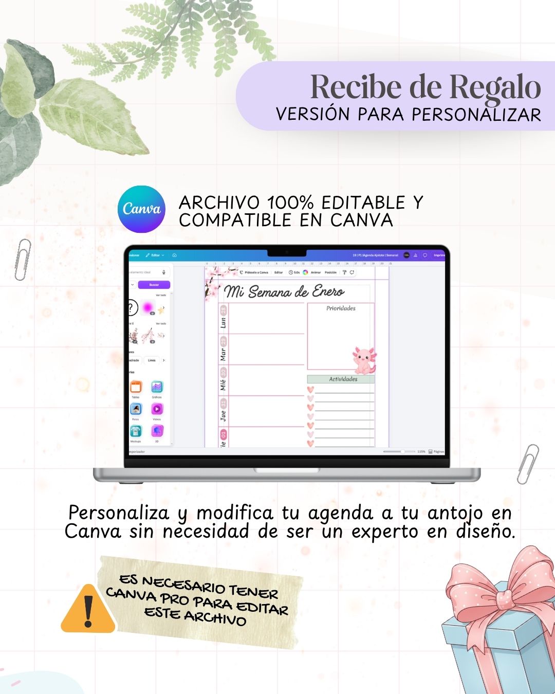 Agenda Ajolote 2027 - 2 Días - imagen 5