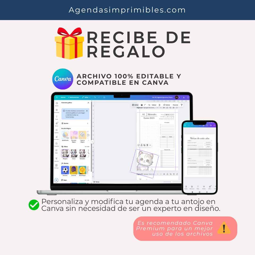 Agenda Ejecutiva Diaria | 2025