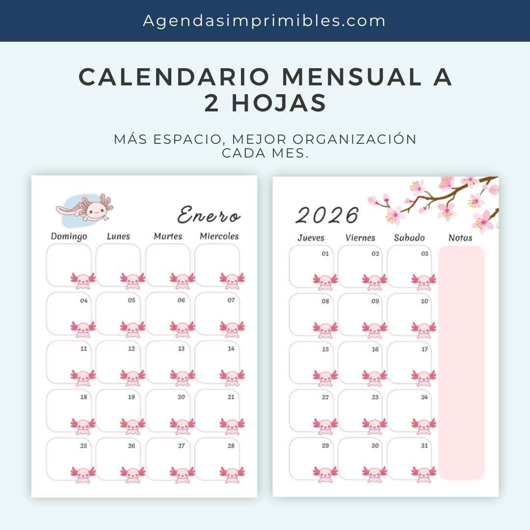 Agenda Comic Dos Días x Pagina | 2026