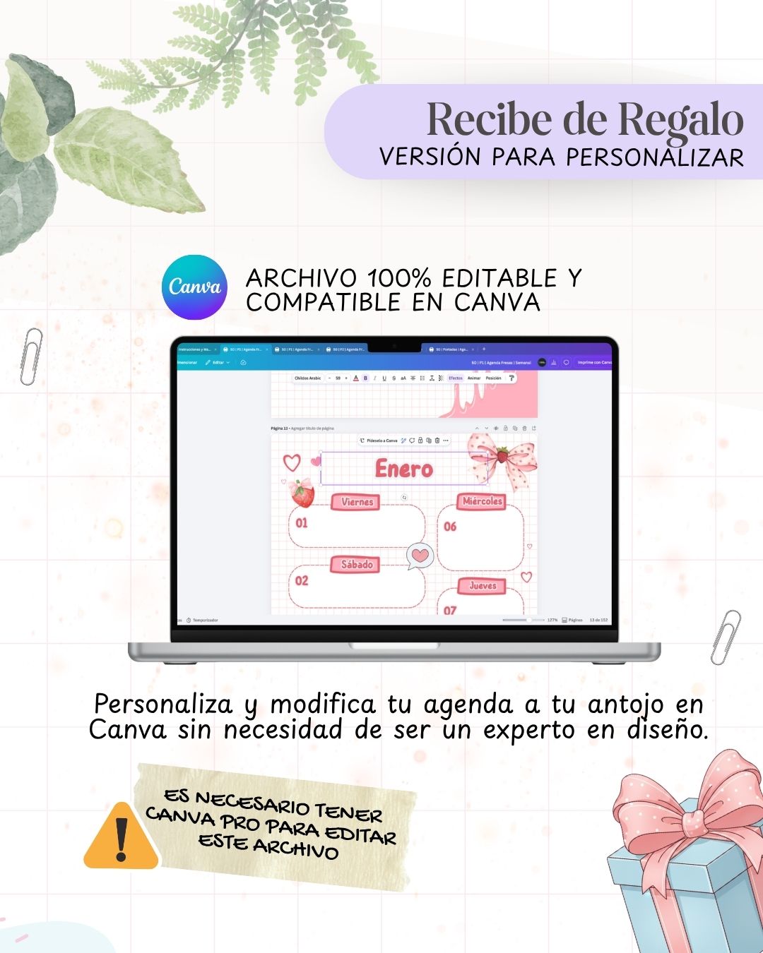 Agenda Fresitas 2027 - Archivo Imprimible - imagen 6