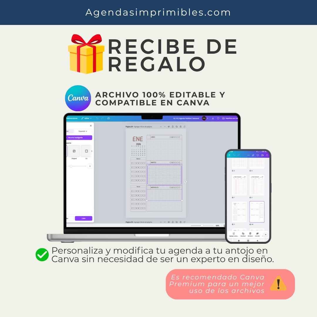 Agenda Pedidos Semanal | 2026