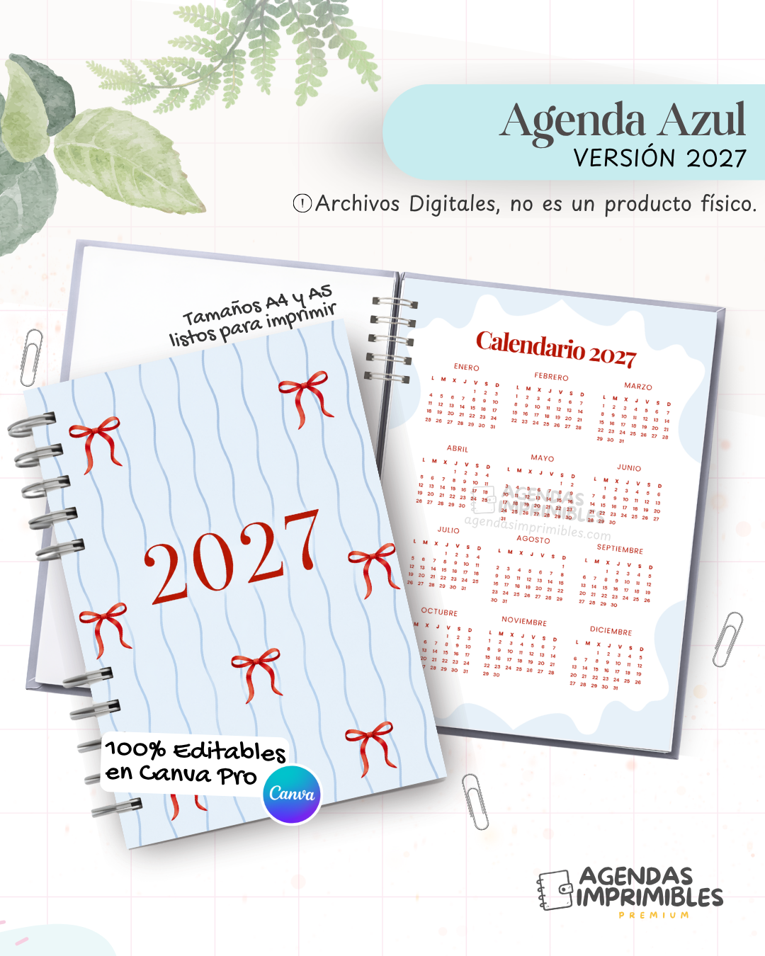 Agenda Azul 2027 — imagen Instagram 1