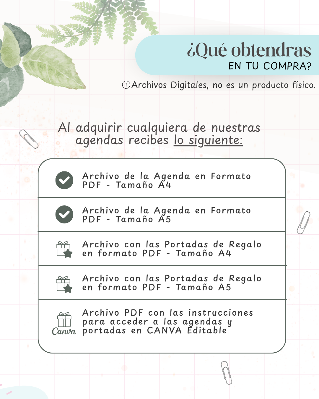 Agenda Azul 2027 — imagen Instagram 7