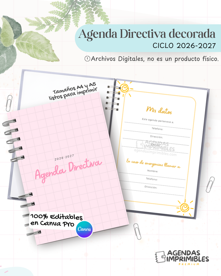 Agenda Directiva 2026-2027 — Decorada — imagen Instagram 1