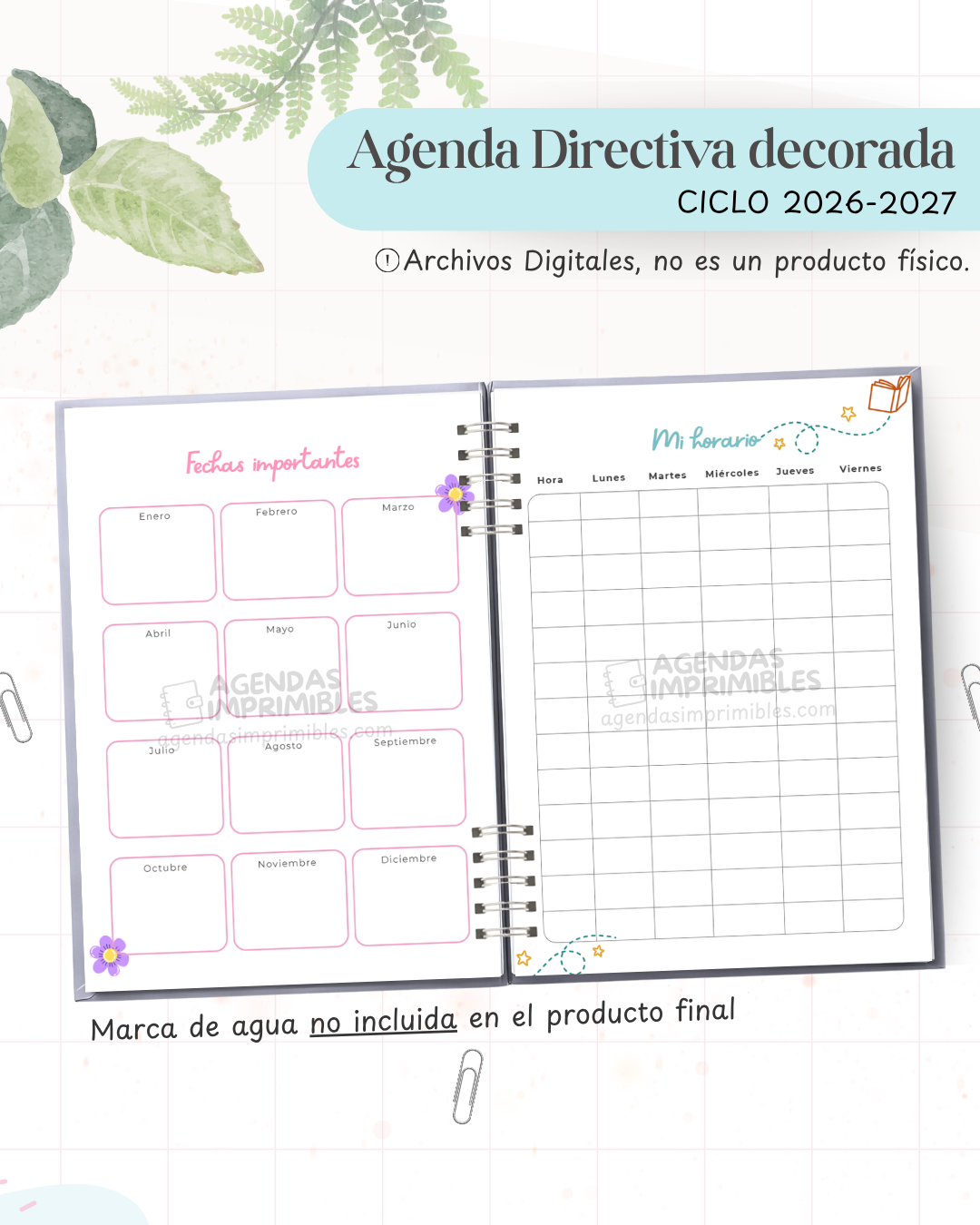 Agenda Directiva 2026-2027 — Decorada — imagen Instagram 3